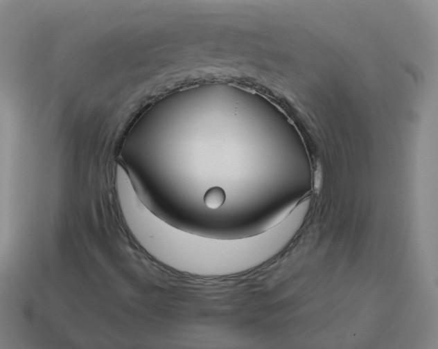 X0000113251492200910011335