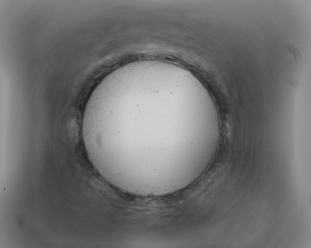 X0000113251493200910011335