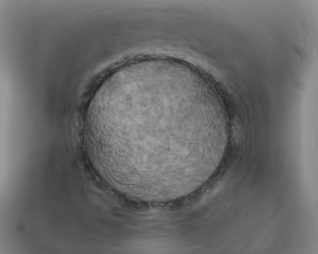 X0000113251494200910011335