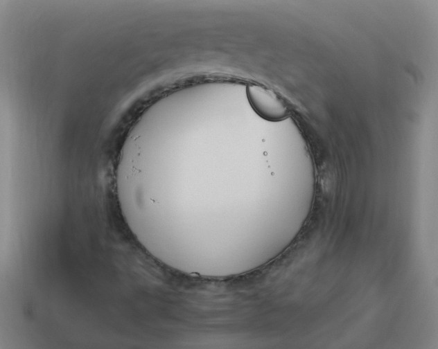 X0000113251495200910011335