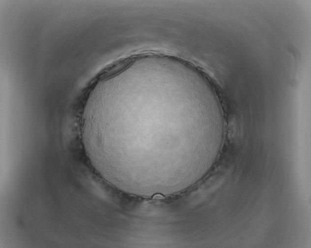 X0000113251496200910011335