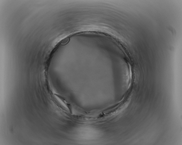 X0000113251497200910011335