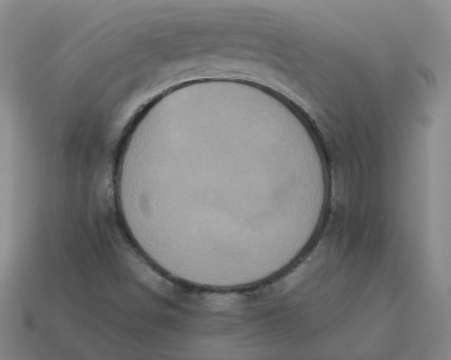 X0000113251498200910011335