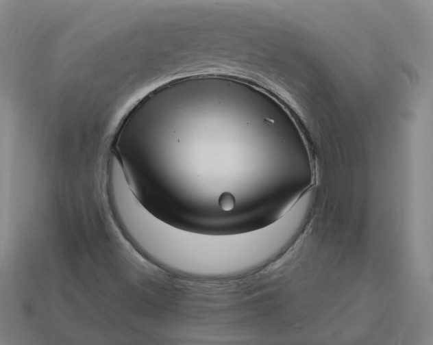 X0000113251500200910011335