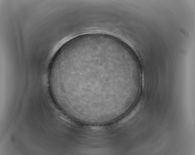 X0000113251501200910011335