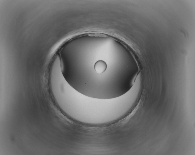 X0000113251502200910011335