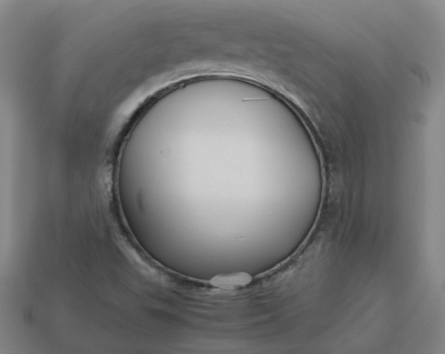 X0000113251503200910011335