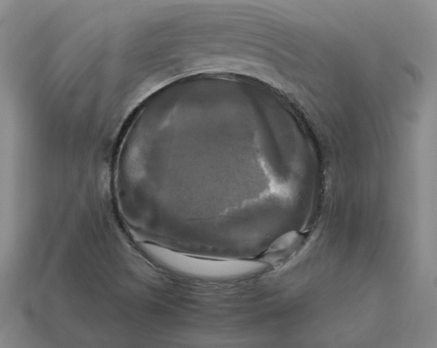 X0000113251505200910011335