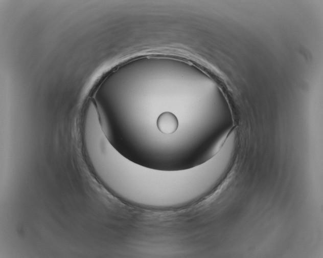 X0000113251506200910011335