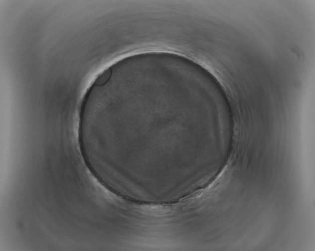 X0000113251508200910011335