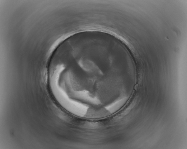 X0000113251509200910011335