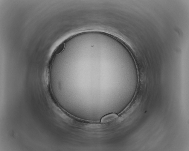 X0000113251510200910011335