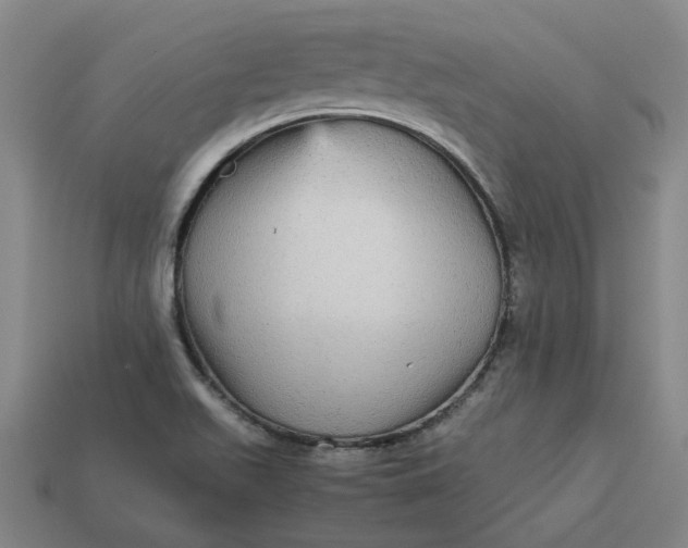 X0000113251511200910011335