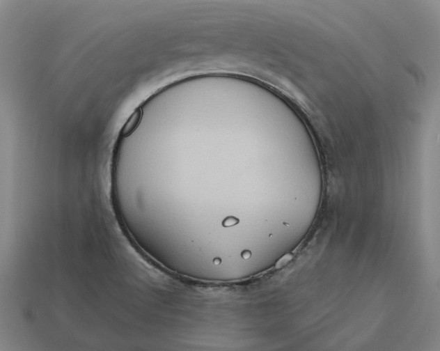 X0000113251512200910011336