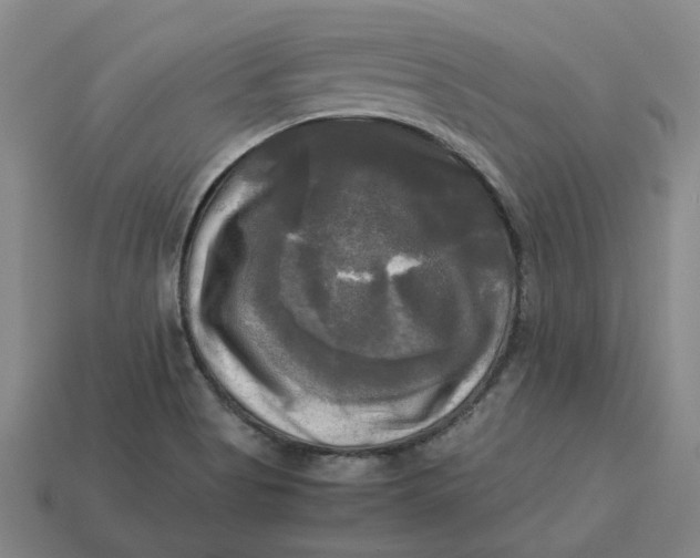 X0000113251513200910011336