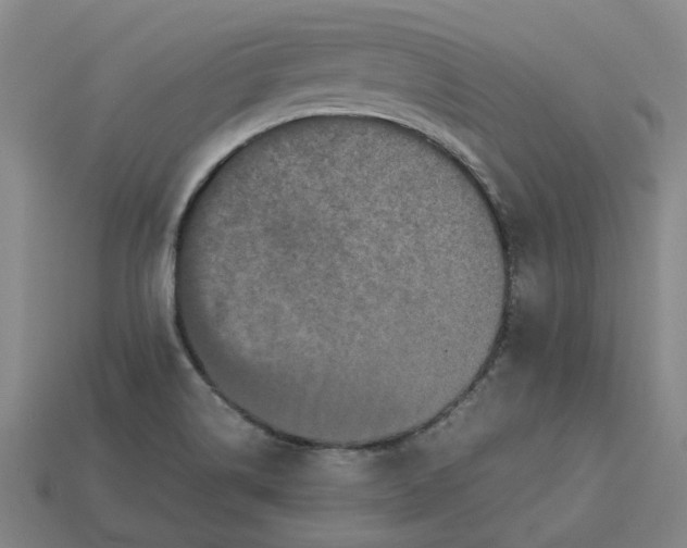 X0000113251514200910011336