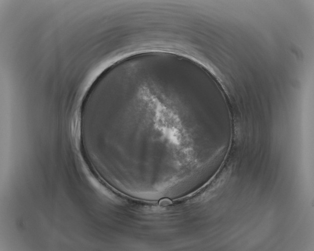 X0000113251515200910011336