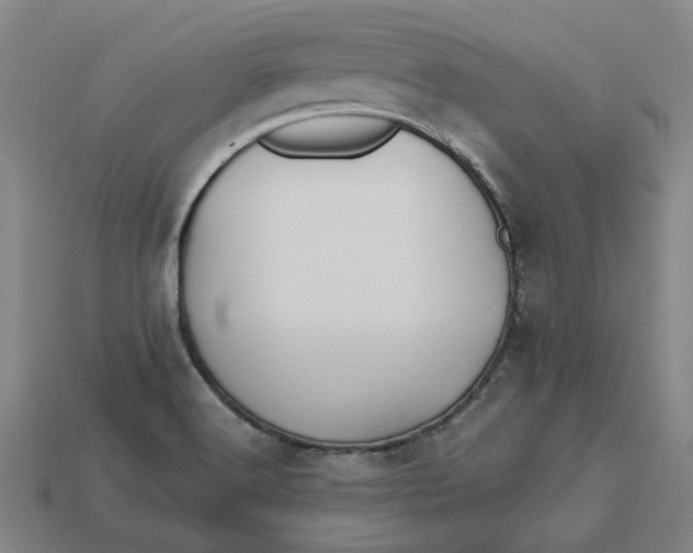 X0000113251516200910011336