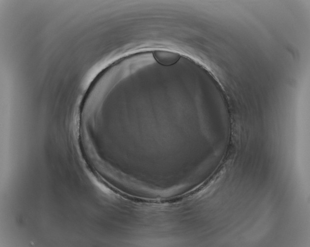 X0000113251519200910011336