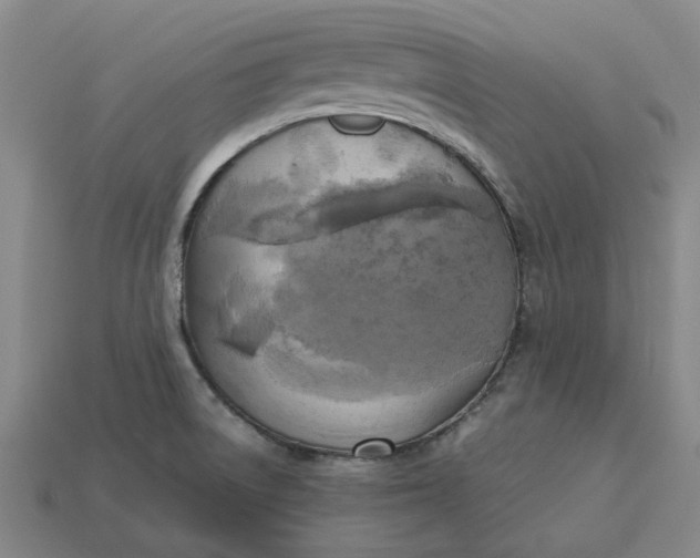 X0000113251522200910011336