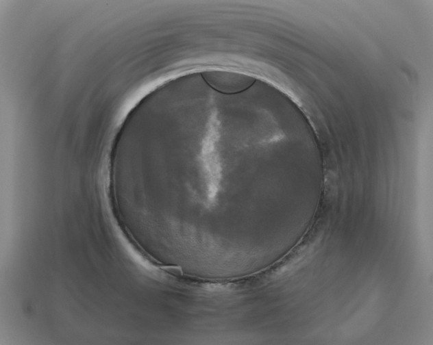 X0000113251523200910011336