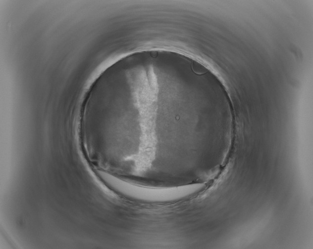 X0000113251525200910011336