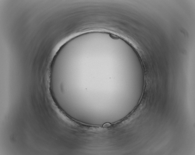 X0000113251526200910011336