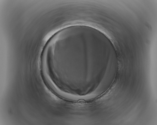 X0000113251527200910011336