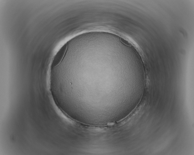 X0000113251528200910011336