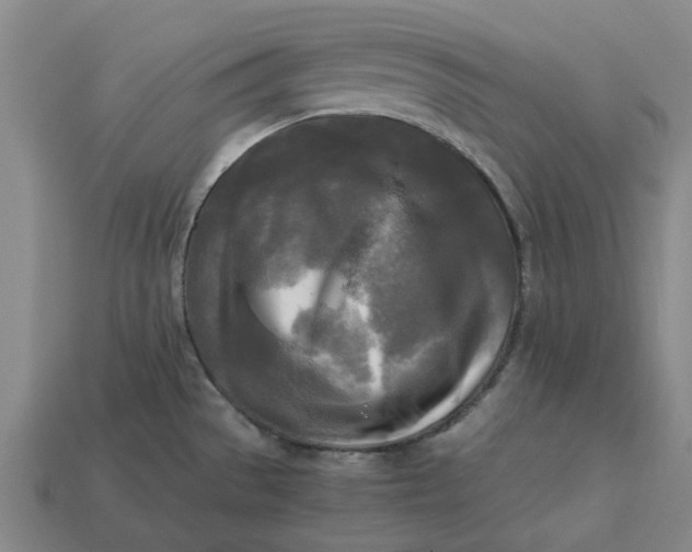 X0000113251529200910011336