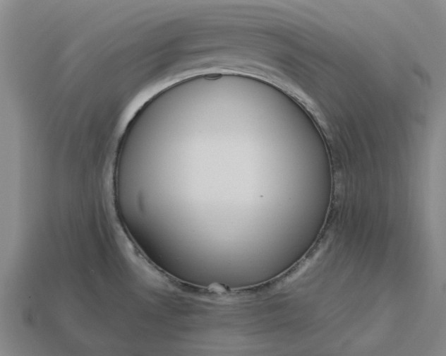 X0000113251530200910011336