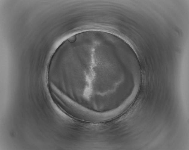 X0000113251531200910011336