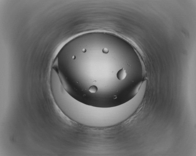 X0000113251532200910011336