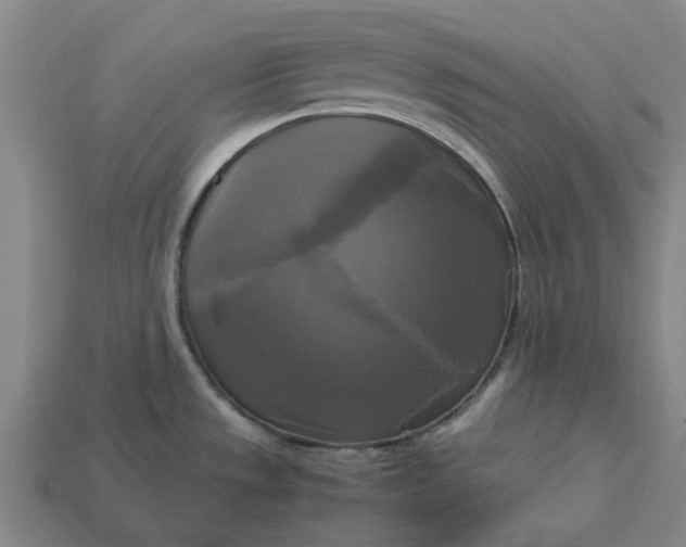 X0000113251533200910011336