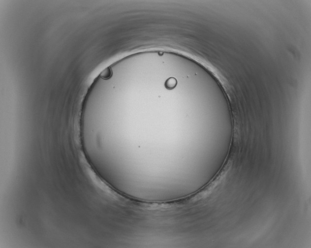 X0000113251534200910011336