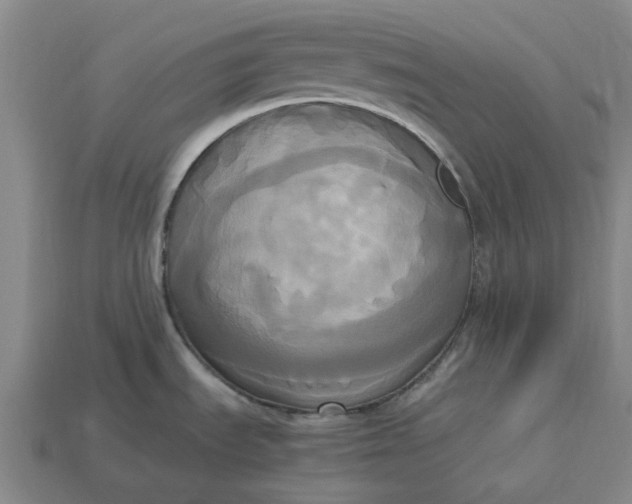 X0000113251535200910011336