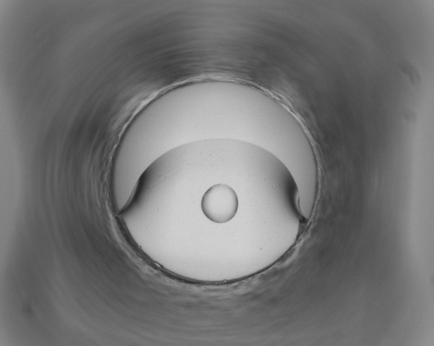 X0000113250001200910081328