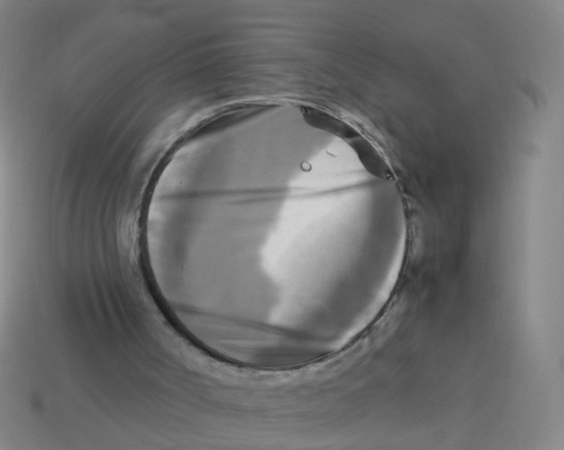 X0000113250002200910081328