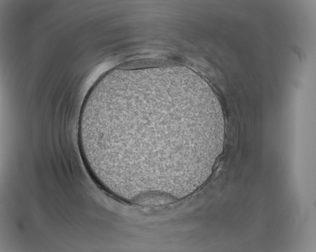 X0000113250003200910081328