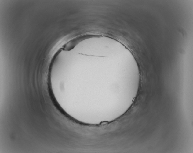 X0000113250007200910081328