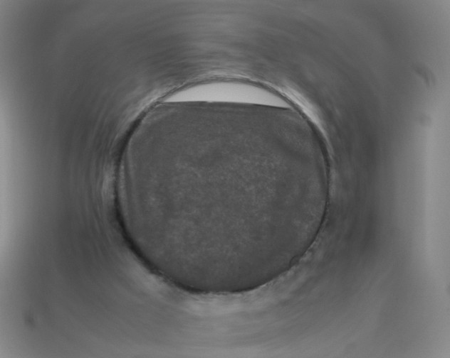 X0000113250009200910081328