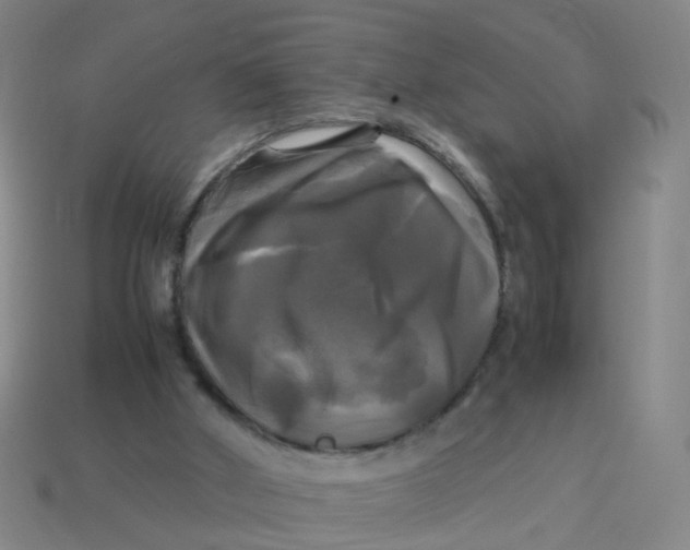 X0000113250010200910081328