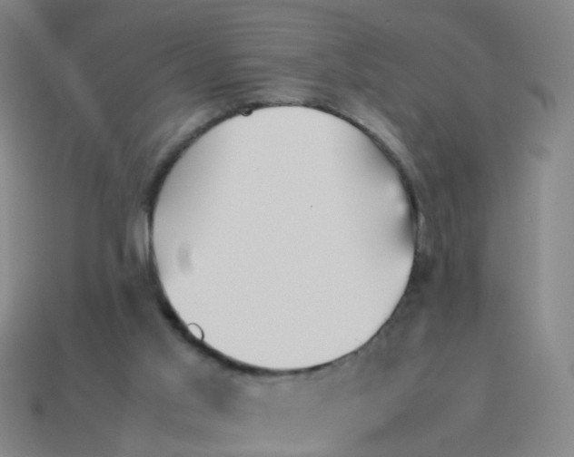 X0000113250013200910081328