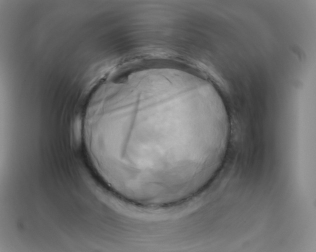 X0000113250014200910081328