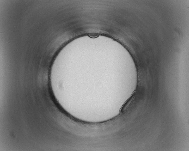 X0000113250015200910081328