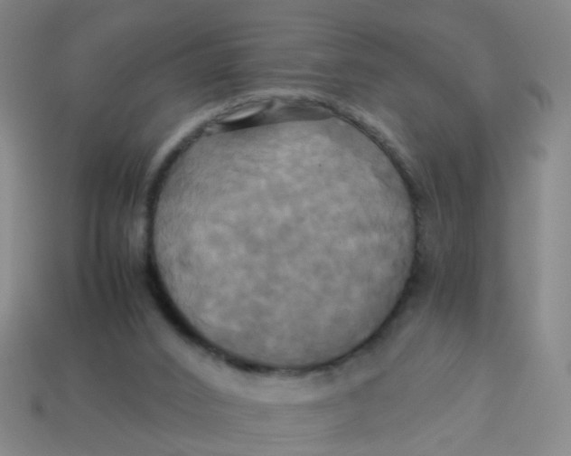 X0000113250016200910081328