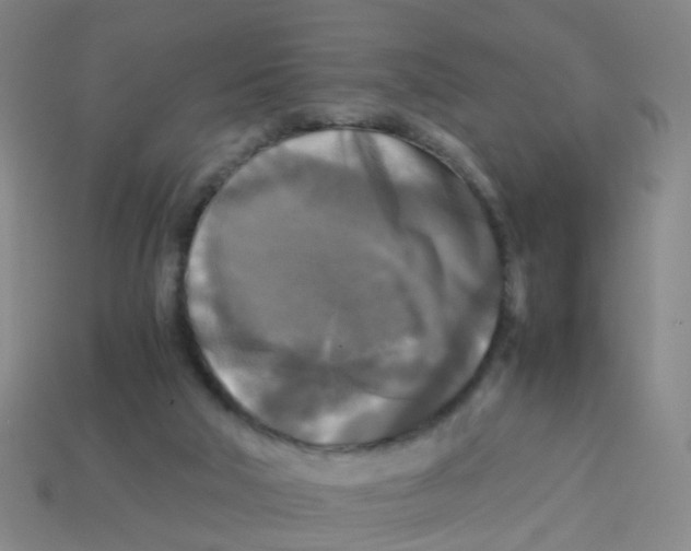 X0000113250018200910081328