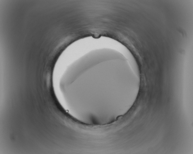 X0000113250019200910081328