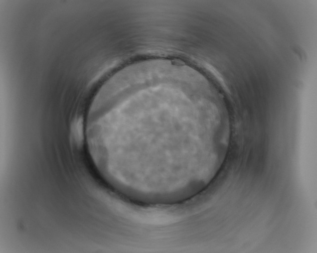 X0000113250020200910081328