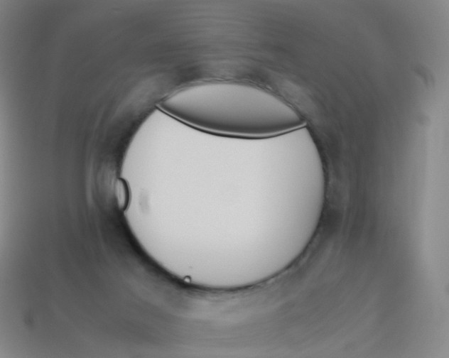 X0000113250021200910081328